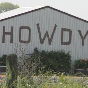 Meet your Posher, Suzanne